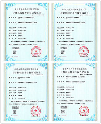 深耕网络信息科技专业领域，技术咨询赋能数字未来