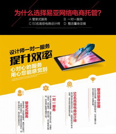 丹东代运营与网店托管的专业之路——上市公司的百人团队如何助力企业成长
