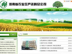 郑州网站建设与制作服务 睿智软件技术的专业网络解决方案